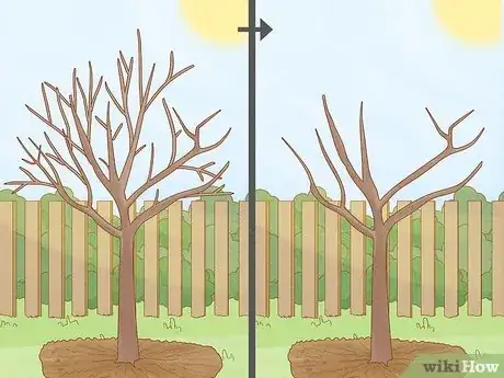 Imagen titulada Prune a Fruit Tree Step 12