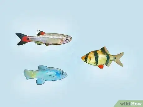 Imagen titulada Cycle a Fish Tank Step 2