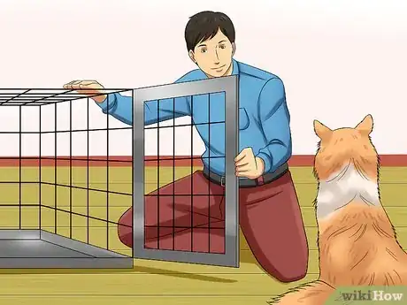 Imagen titulada Care for Shelties Step 20