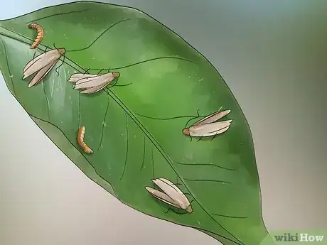 Imagen titulada Control Armyworms Step 9