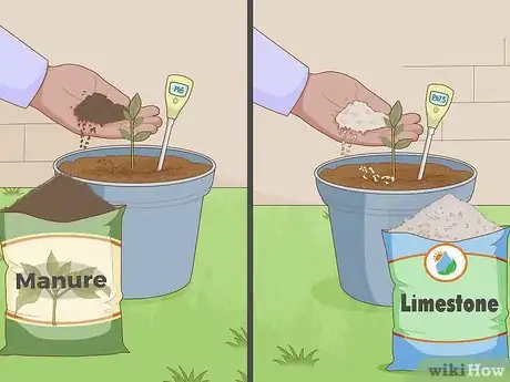 Imagen titulada Care for a Lemon Tree Step 7