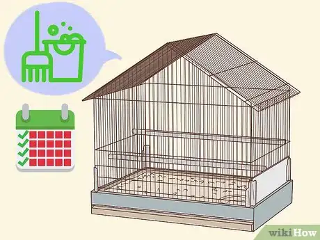 Imagen titulada Treat Mites and Lice in Guinea Pigs Step 12