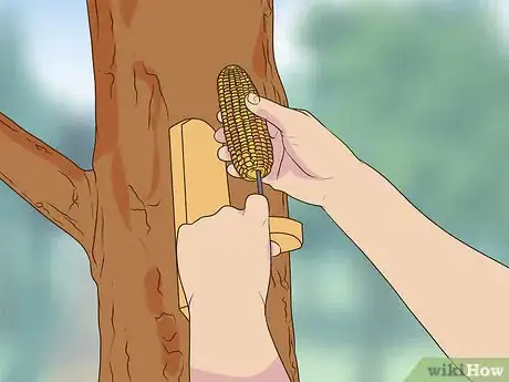 Imagen titulada Make a Squirrel Feeder Step 4