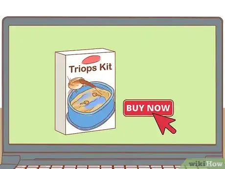 Imagen titulada Care for Triops Step 6