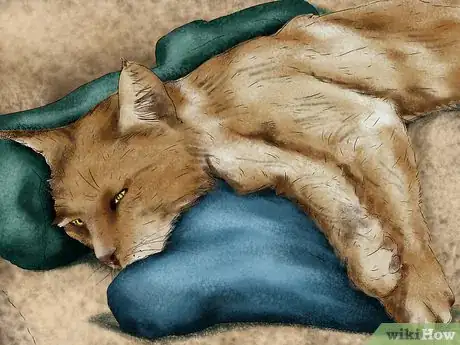 Imagen titulada Help a Cat Recover from Anesthesia Step 2