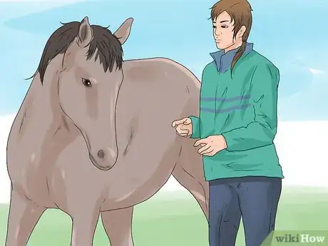 Imagen titulada Approach Your Horse Step 5
