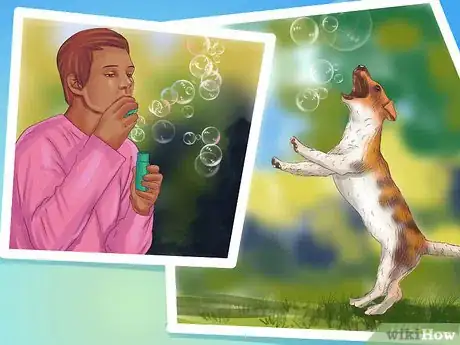 Imagen titulada Care for a Jack Russell Step 11