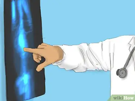 Imagen titulada Care for a Pregnant Chihuahua Step 4
