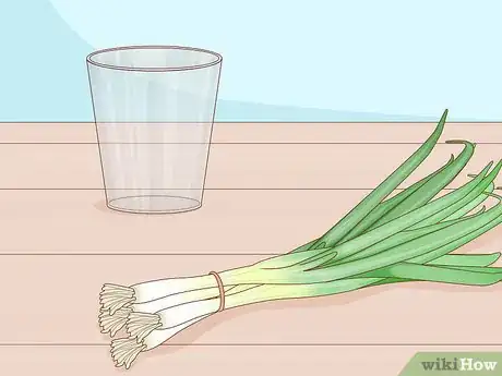 Imagen titulada Grow Onions Indoors Step 16
