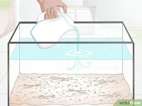 Imagen titulada Care for a Zebra Danio Step 4