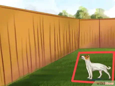 Imagen titulada Care for a Jack Russell Step 14