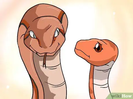 Imagen titulada Choose Your First Pet Snake Step 1Bullet1