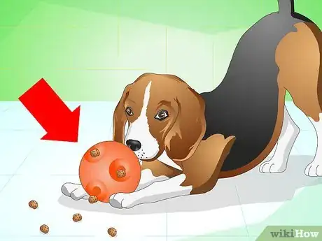 Imagen titulada Get Your Dog to Eat the Dog Food It Does Not Like Step 7