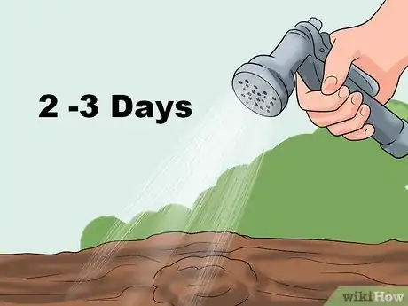 Imagen titulada Grow a Bean Plant Step 11