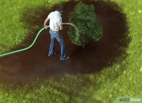 Imagen titulada Grow a Pomegranate Tree Step 7