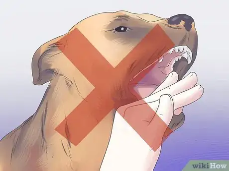 Imagen titulada Help Your Dog During a Seizure Step 4