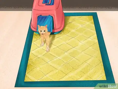 Imagen titulada Remove Debris Stuck in a Cat Paw Step 8