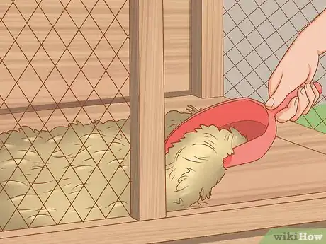 Imagen titulada Get Quails to Lay Eggs Step 3