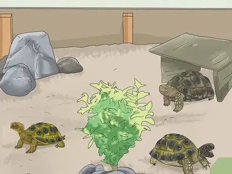 Imagen titulada Make A Habitat for Hermann’s Tortoises Step 13