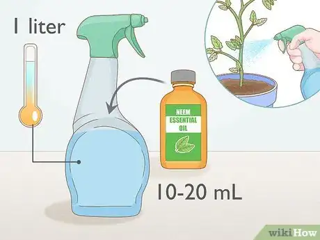 Imagen titulada Get Rid of Red Spider Mites Organically Step 11