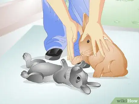 Imagen titulada Tell if Your Rabbit Is Lonely Step 6
