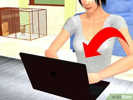 Imagen titulada Care for a Chicken in an Apartment Step 2