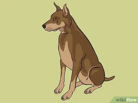 Imagen titulada Draw a Dog Step 36