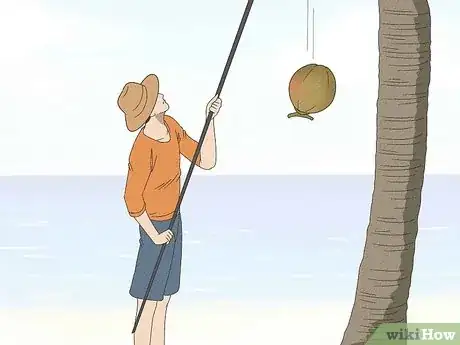 Imagen titulada Harvest a Coconut Step 7
