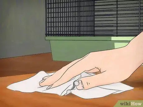 Imagen titulada Get Rid of Fleas on Rats Step 9