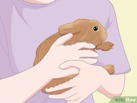 Imagen titulada Care for a New Pet Rabbit Step 8