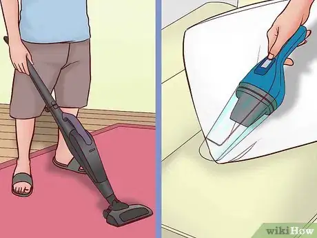 Imagen titulada Prevent Ringworm in Dogs Step 7