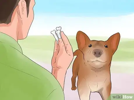 Imagen titulada Train Your Dog for a Dog Show Step 8