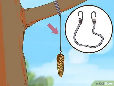 Imagen titulada Make a Squirrel Feeder Step 7