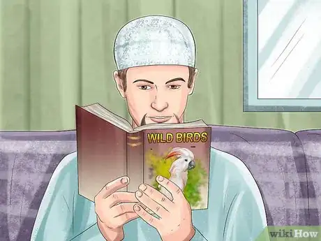 Imagen titulada Live With a Moluccan Cockatoo Step 2