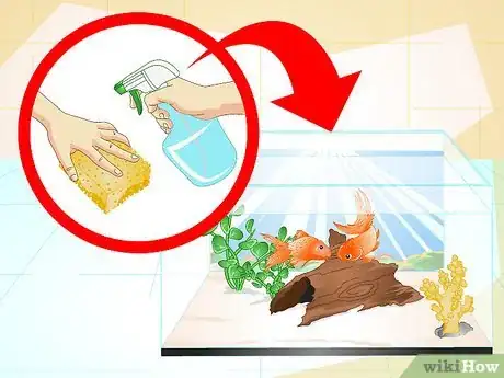 Imagen titulada Make a 5 Gallon Aquarium Interesting Step 18