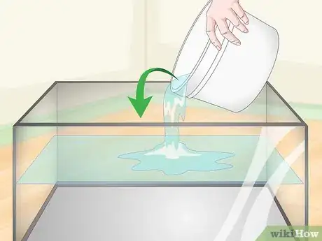 Imagen titulada Take Care of Mini Pet Turtles Step 2