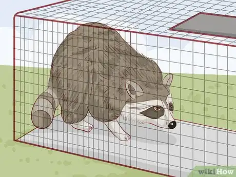 Imagen titulada Protect Chickens from Feral Animals Step 12