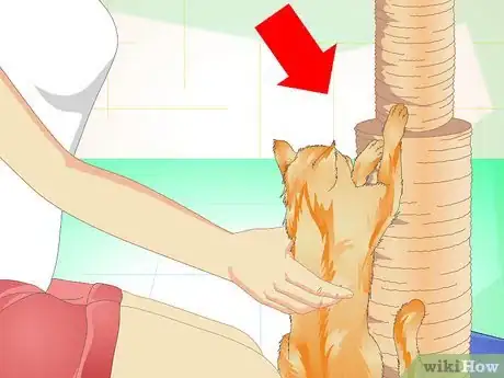 Imagen titulada Care for a Cat's Paws Step 3