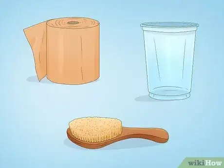 Imagen titulada Bathe a Russian Tortoise Step 2