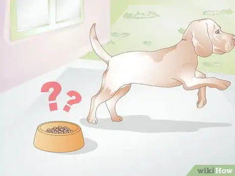 Imagen titulada Feed a Dog Step 16