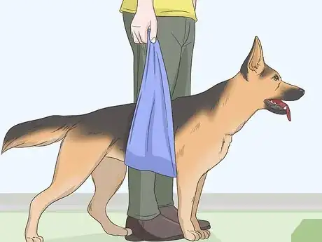 Imagen titulada Express a Paralyzed Dog's Bladder Step 15
