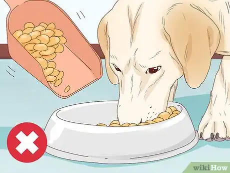 Imagen titulada Tell if a Dog Is Pregnant Step 3