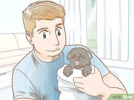 Imagen titulada Revive a Puppy Step 19