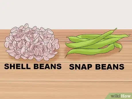 Imagen titulada Grow a Bean Plant Step 1