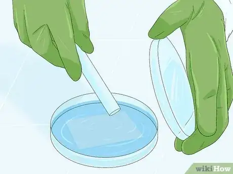 Imagen titulada Determine Genotype Step 13