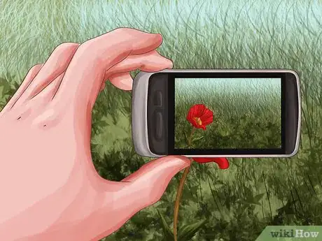 Imagen titulada Become a Nature Photographer Step 13