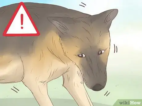 Imagen titulada Understand Your Dog's Body Language Step 10