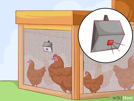 Imagen titulada Protect Chickens from Feral Animals Step 11