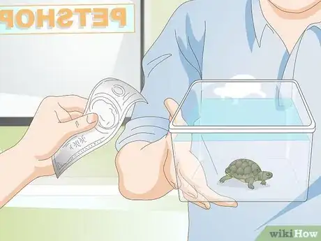 Imagen titulada Keep a Turtle Healthy Step 9