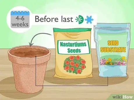 Imagen titulada Grow Nasturtiums Step 2
